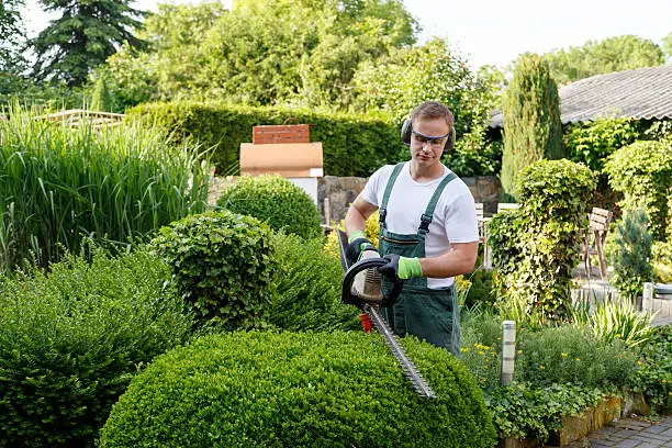 Bush Trimming