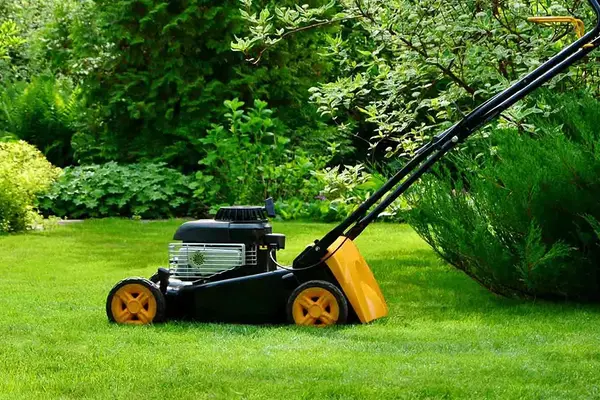 Professional landscaper