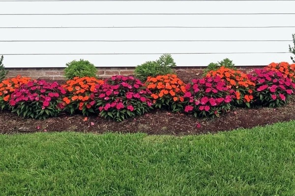 Reliable landscaper