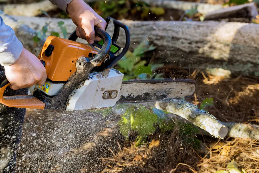 Affordable Tree Service Youngstown, OH