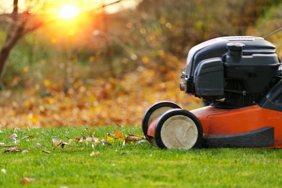 Boosting Curb Appeal With Expert Lawn Care Services in Youngstown, OH