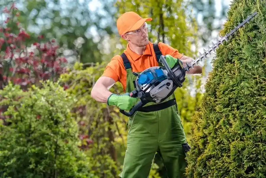 How Bush Trimming Improves The Aesthetic Appeal Of Gardens Youngstown, OH