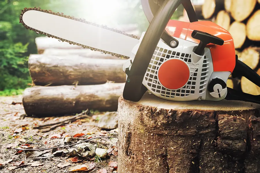 How Tree Service Prevents Property Damage Risks Tree Removal in Youngstown, OH