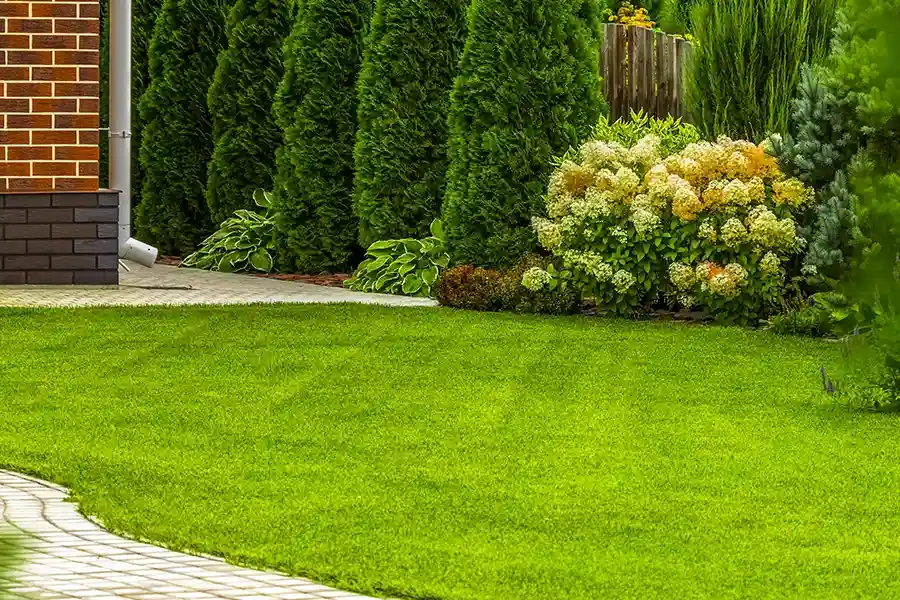 Premium Lawn Care Youngstown, OH