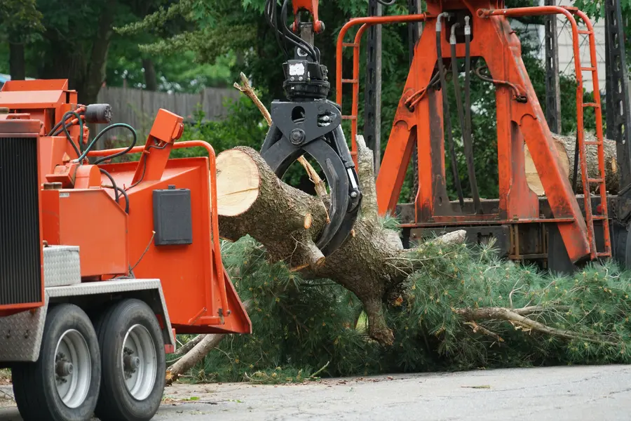 Professional Tree Service Youngstown, OH