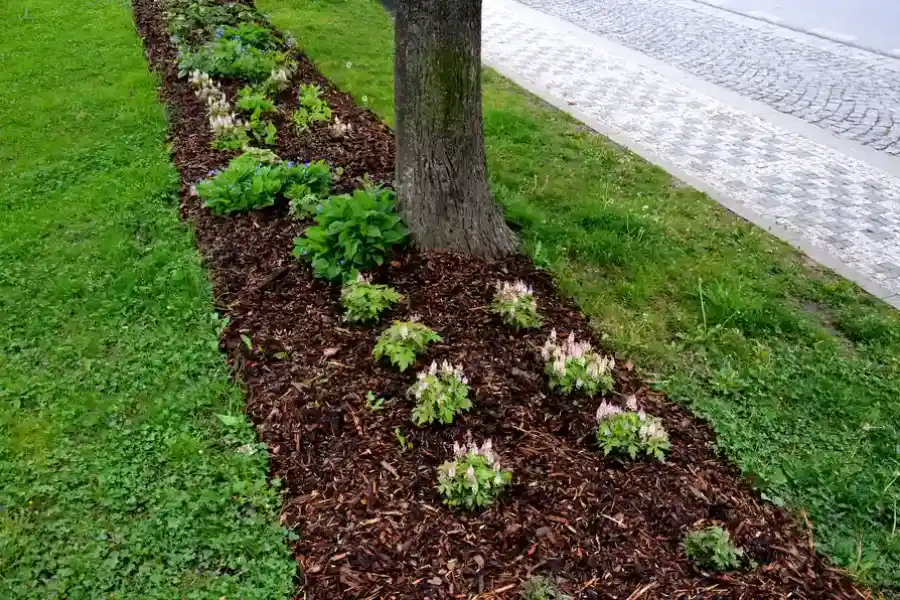 Reliable Mulching Youngstown, OH