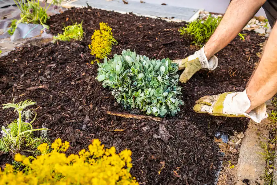 Reputable Mulching Youngstown, OH