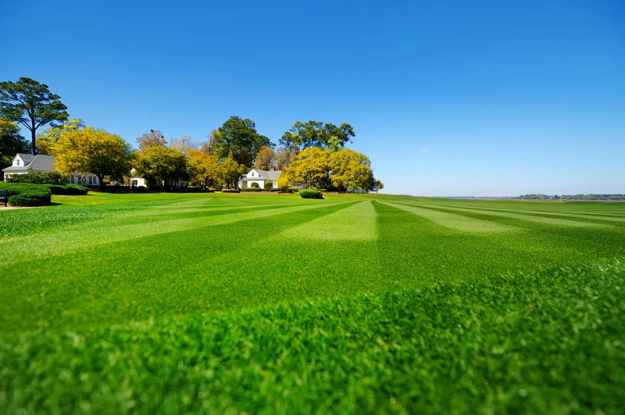 Seasonal Lawn Care Tips For A Healthy, Vibrant Yard in Youngstown, OH
