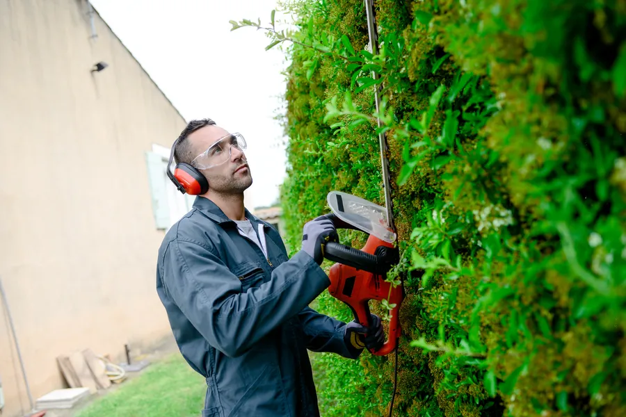 Should You Hire A Professional For Bush Trimming Services in Youngstown, OH