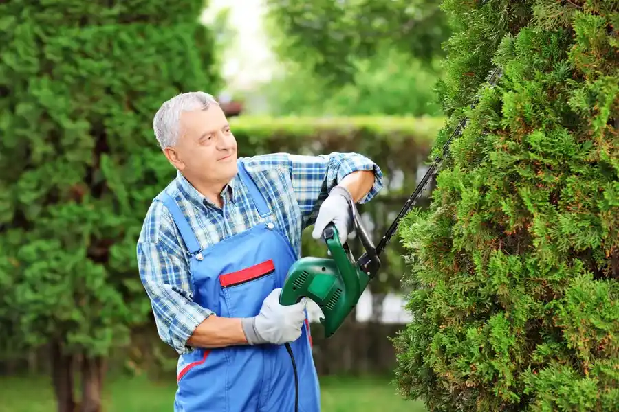 Superior Bush Trimming Youngstown, OH